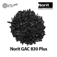 کربن اکتیو نوریت GAC 830 PLUS