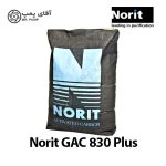 کربن اکتیو نوریت GAC 830 PLUS