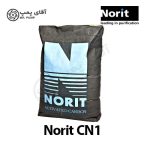 کربن اکتیو پودری نوریت CN1