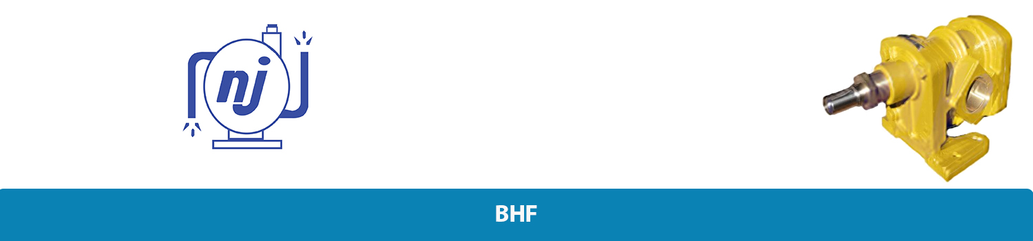 پمپ دنده ای سری BHF نقش جهان