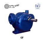 پمپ غلیظ کش سری GF نقش جهان
