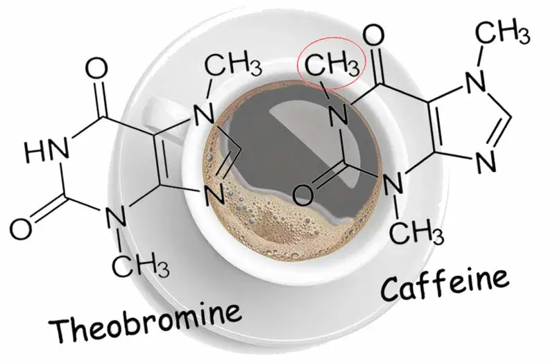 کربن فعال خوراکی برای حذف کافئین از قهوه 