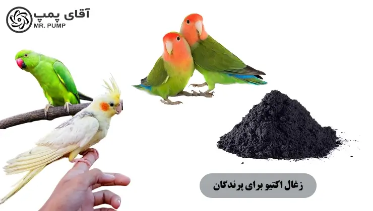 کربن فعال برای پرنده ها - کربن فعال برای پرندگان