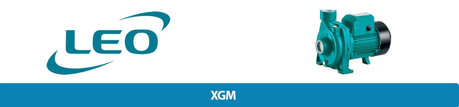 پمپ سانتریفیوژ لئو LEO XGM